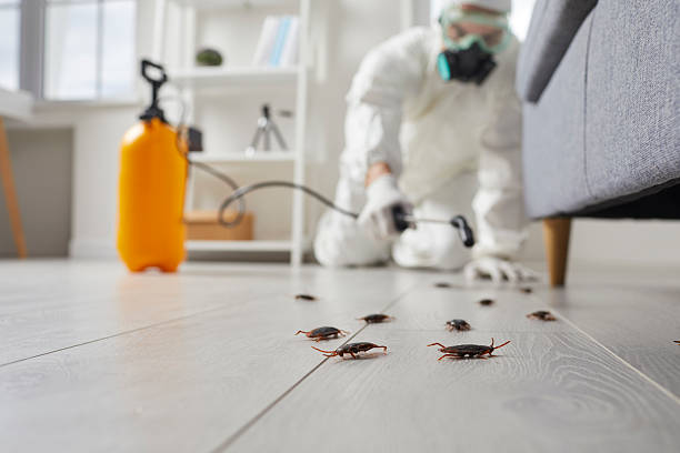 Commercial Kitchen Cockroach Control in King Arthur Park